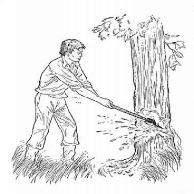 cutting trees clipart black and white 20 free Cliparts | Download ...