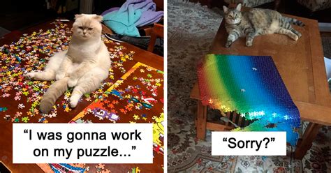 30 Photos That Show The Reality Of Trying To Finish A Puzzle With Your Cat | Bored Panda