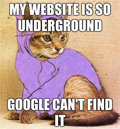 Hipster Kitty Meme - Imgflip