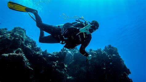 Cozumel & Our Tips for PADI Open Water Certification in Cozumel - HUDSON AND EMILY