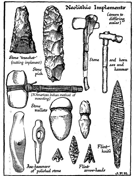 The New Stone Age | Stone age art, Stone age tools, Early humans tools