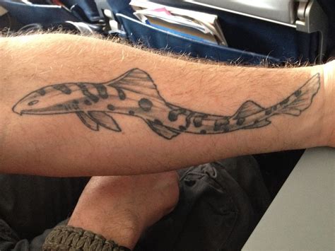 Leopard Shark (Triakis semifasciata) | Life tattoos, Tattoos, Shark tattoos