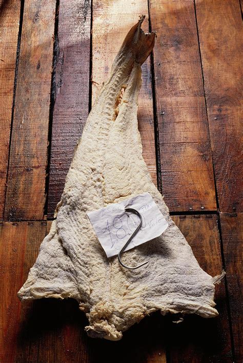 Morue Salee Salted Cod Photograph by Hussenot - Photocuisine - Fine Art ...