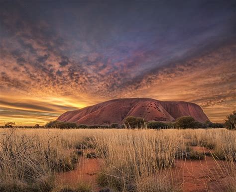 Uluru Sunrise – Stef Dunn