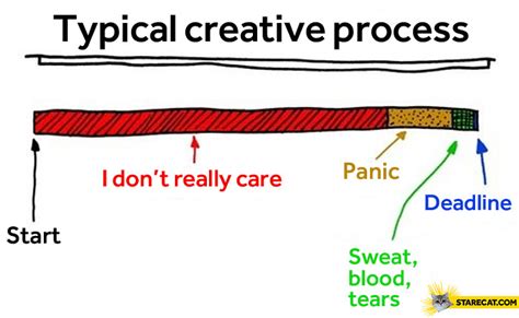 Typical creative process | StareCat.com