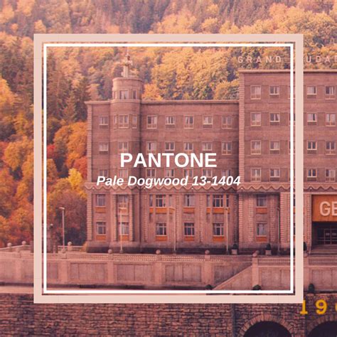 Pantone Pale Dogwood 13-1404 - The Grand Budapest Hotel - Movie Color Palettes in 2023 | Movie ...