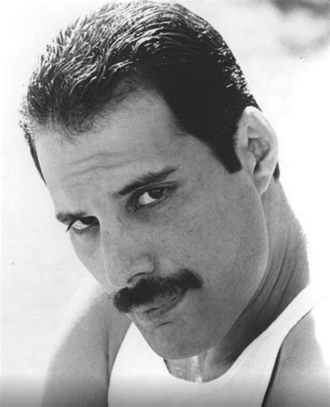 Pin by Jane on Queen | Queen freddie mercury, Freddie mercury, Freddie mercury mustache