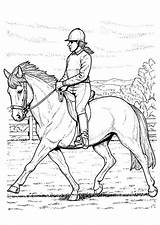 Coloring Page horse Back riding  Free Printables Img 10274 sketch template