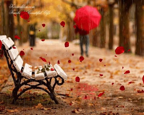 a bench with petals falling off it in the rain, and an umbrella is behind it