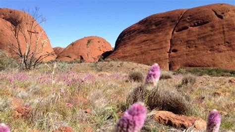 Best Hiking Trails in Uluru-Kata Tjuta National Park - Trail Hiking ...