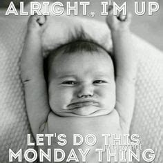 350 Best Monday Humor ideas | monday humor, monday quotes, weekday quotes