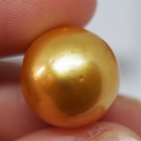 17.30CT PEARL FROM THE PHILLIPPINES PL29 | Pearls, Gemstone jewellery ...