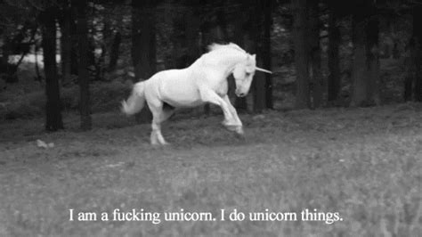 Unicorn GIF - Find & Share on GIPHY