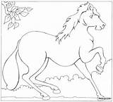 Domestic Animals Coloring Pages  Pitara Kids Network sketch template