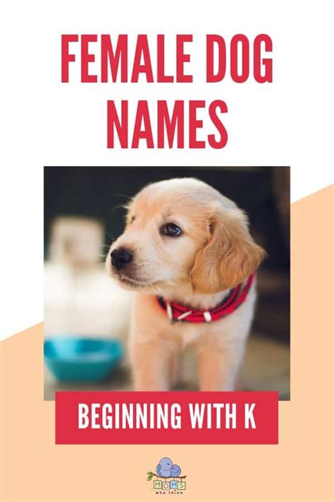 Female Dog Names K