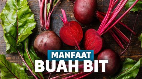 Manfaat Buah Bit, Umbi Unggul untuk Jaga Kesehatan