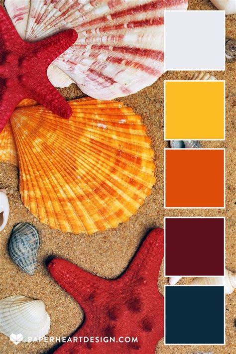 Color Palette: She Sells Sea Shells — Paper Heart Design | Beach color palettes, Color schemes ...