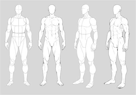 Male anatomy by Precia-T on DeviantArt | Human figure drawing, Figure drawing reference, Drawing ...