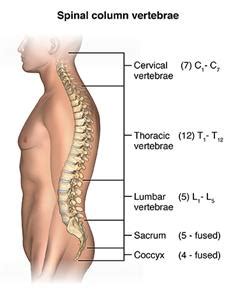 Lumbar Strain | Cedars-Sinai