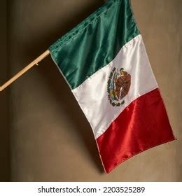 Mexico Flag Symbols Mexico Stock Photo 2203525289 | Shutterstock