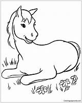 Horse Cute Coloring Page  Free Printable Pages sketch template