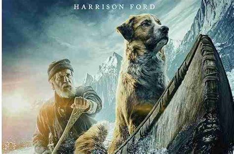 Competition: Win The Harrison Ford Family Adventure CALL OF THE WILD On Blu-ray - Movies In Focus