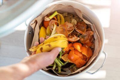 Biowaste Recycling: Food waste recycling on top of UK businesses' green agenda | WMW