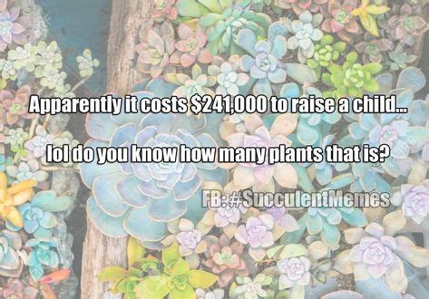 30 Best Best Succulent Memes for Plant Lovers images in 2020 | plant lover, succulents ...