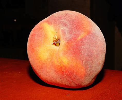 Free download | HD wallpaper: peach, stone fruit, furry, peach prunus ...