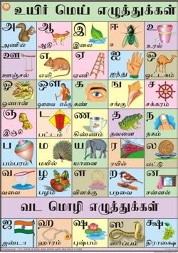 Tamil Alphabet Poster | Oppidan Library