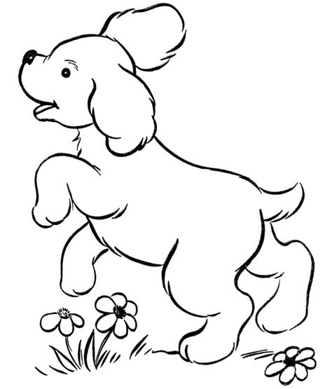 70+ Animal Colouring Pages Free Download & Print! | Free & Premium Templates