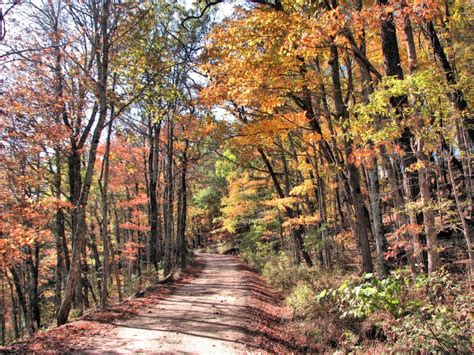 Arkansas' Fall Foliage Is Expected To Be Bright And Bold In 2018