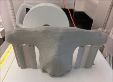 Model of a Cephalofoil Produced by ASU's 3D Printer | Download Scientific Diagram