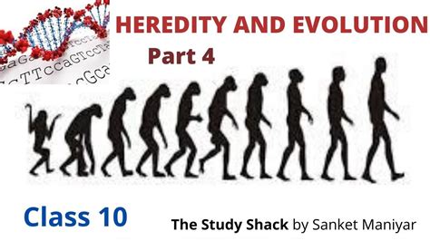 Heredity & Evolution part 4- Science 2 Class 10 Chapter 1 - YouTube