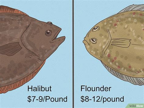 Flounder vs. Halibut: Differences in Taste & Appearance