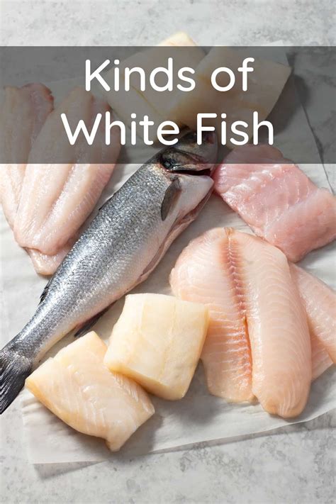 Kinds of White Fish - Differences and Substitutions - TheCookful