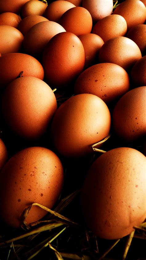 Eggs Free Stock Photo - Public Domain Pictures