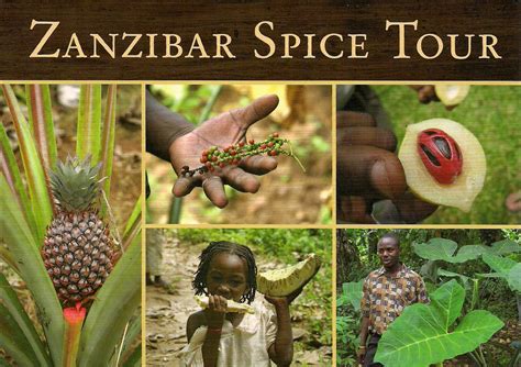 Travel With Your Eyes: Zanzibar Spice Tour