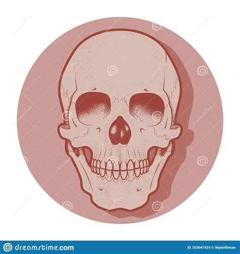 Human Skull Person Is Isolated On A White Background. Watercolor Drawing. Royalty-Free ...