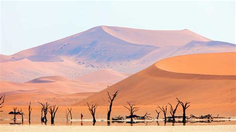 Using chemistry to extract water from the air, even in the desert | University of Chicago News