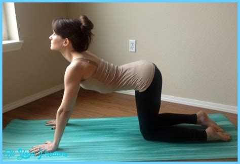 Cow Pose Yoga - AllYogaPositions.com