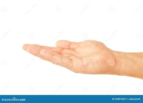 Open Palm Hand Gesture of Male Isolated on White Stock Photo - Image of person, show: 33807602