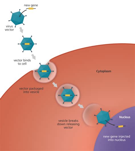 Pin on Illustrating genomics