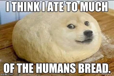 dough doge - Imgflip