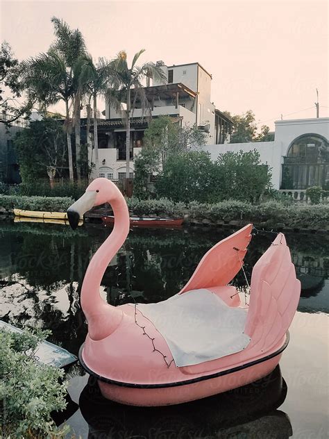 "Flamingo Boat" by Stocksy Contributor "Alicia Magnuson Photography" - Stocksy