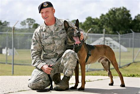 These Navy Seal Dogs Are The Ultimate Canine Warrior. Their Skill And ...