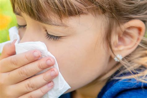 Six Surprising Truths About Kids & Allergies | NYU Langone News