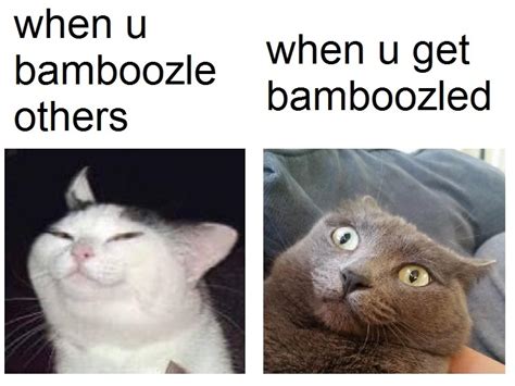 Plz don't bamboozle me - Meme by someone_else :) Memedroid