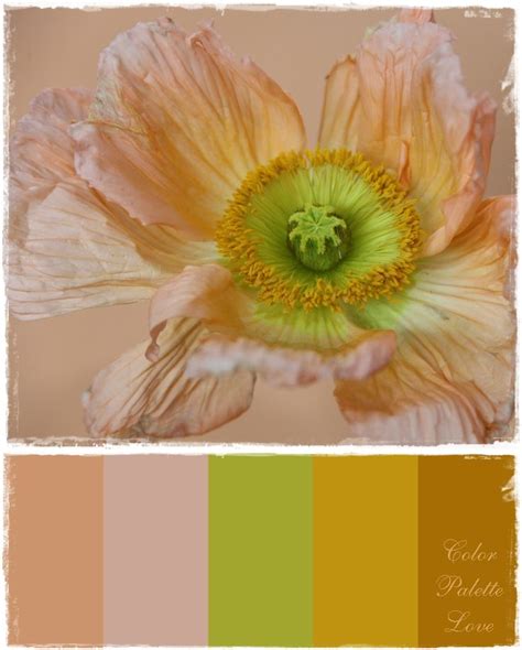 Muted Color Palette, Colour Schemes, Muted Colors, Color Trends, Color Combos, Colour Palettes ...