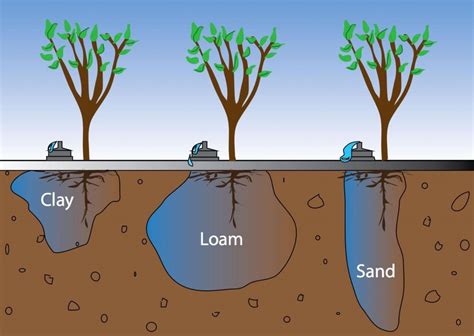 Does Sand Absorb Water? - Techiescientist